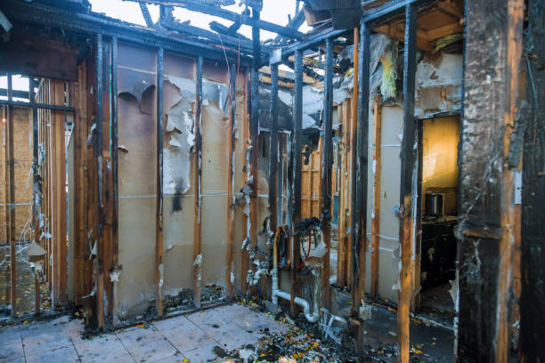 Professional Fire Damage Removal technician working in Manassas, VA